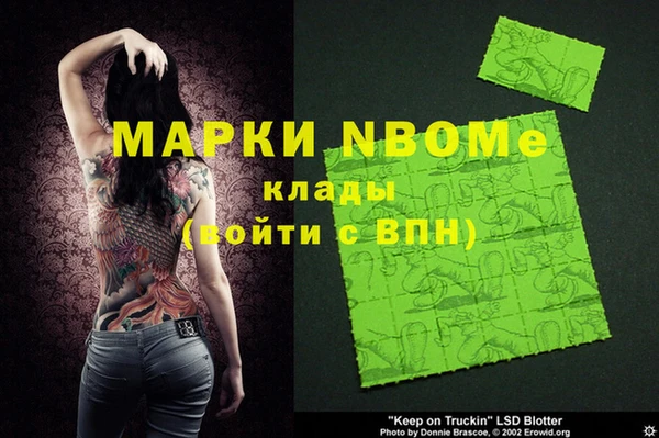 трава Няндома
