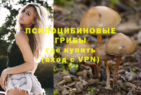 дмт Остров