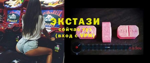 мдпв Осташков