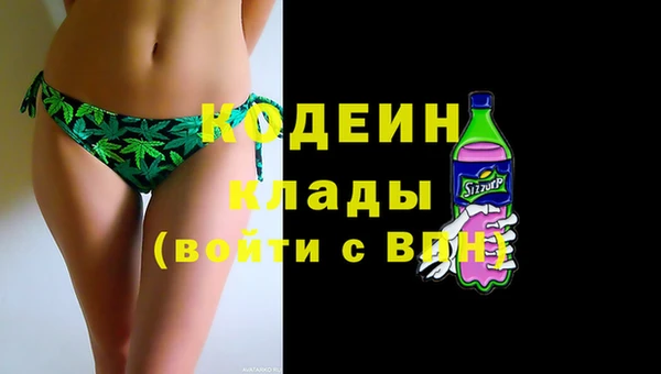 мдпв Осташков
