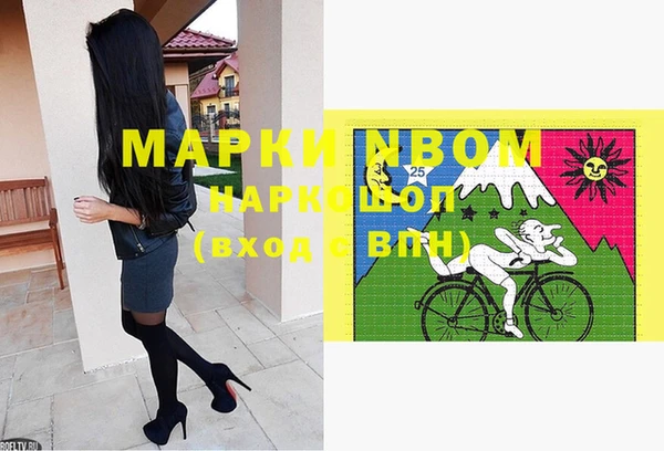 мдпв Осташков
