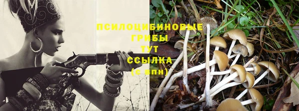 прущие крисы Осинники
