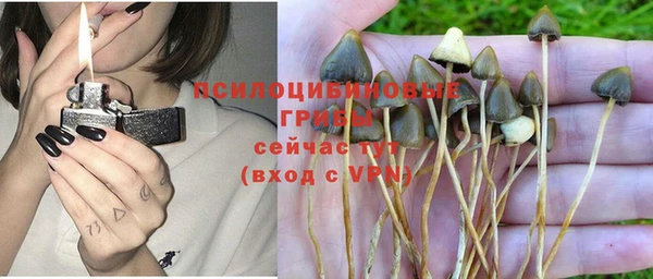 дмт Остров