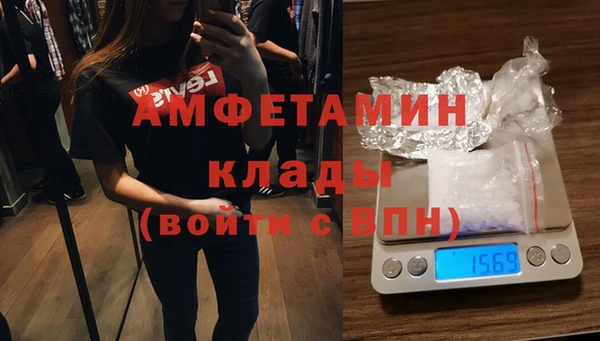 индика Нязепетровск
