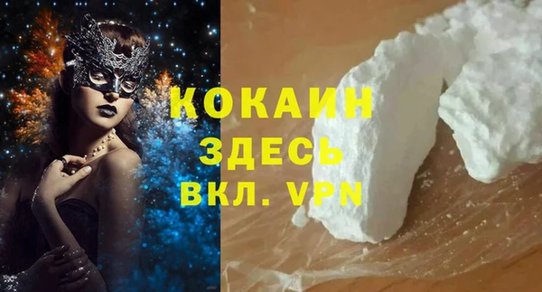 мдпв Осташков